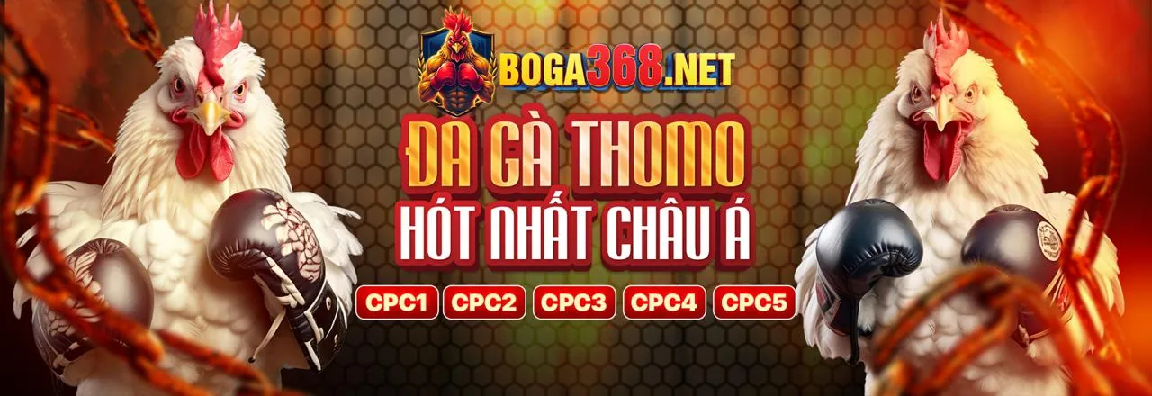 Đăng ký qs88 com nhận ưu đãi